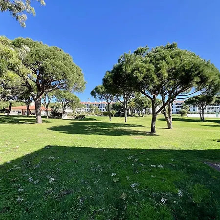 شقة Sunny Garden With Pool By Homing