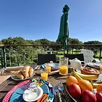 Sunny Garden With Pool By Homing Apartamento